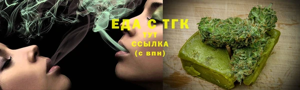 стаф Ельня