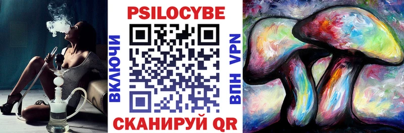 Псилоцибиновые грибы мицелий  магазин продажи наркотиков  Кодинск 