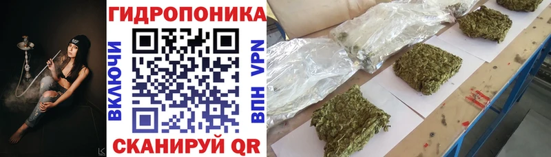 магазин    Кодинск  hydra ссылки  Шишки марихуана план 